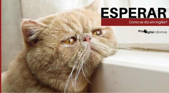 Como se diz ESPERAR em inglês?
